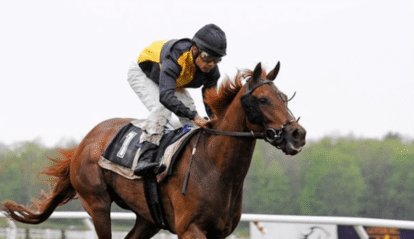 Horse Racing and Its Influence on the Global Economy