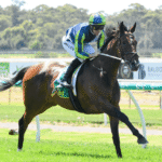 Horse Racing and Its Role in Animal Health and Welfare