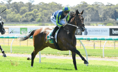 Horse Racing and Its Role in Animal Health and Welfare