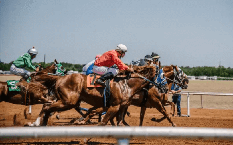 Horse Racing and Its Role in Animal Welfare and Ethics