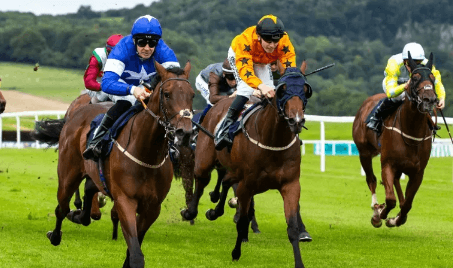 Horse Racing and Its Role in Global Sports Culture